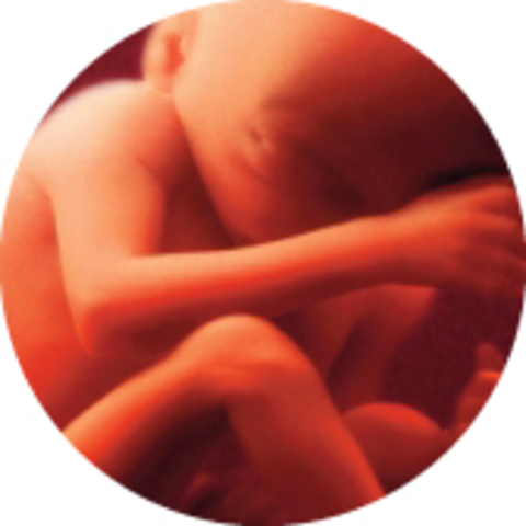 Pregnancy at 7 months or 30 weeks.