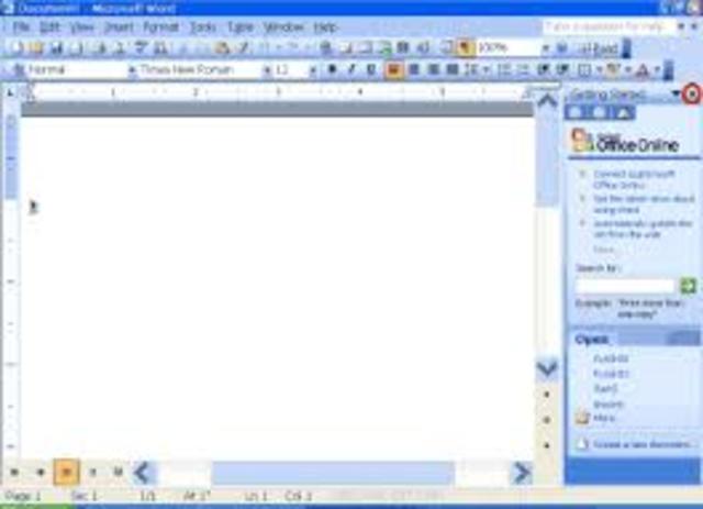 Microsoft Word 2003.