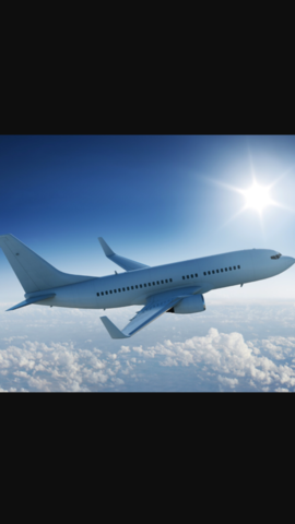 Moving to the United States