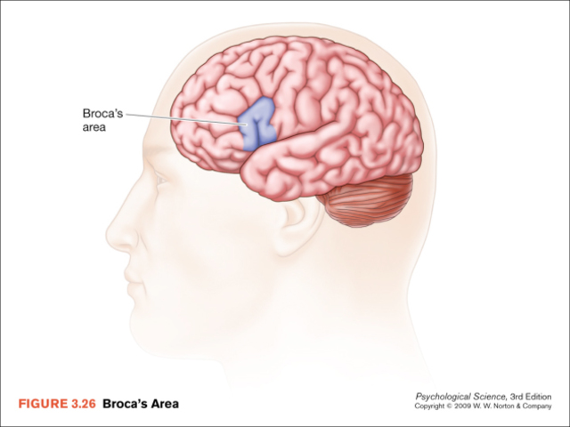 Singing with your friend