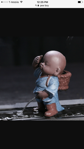 5th grade science fair