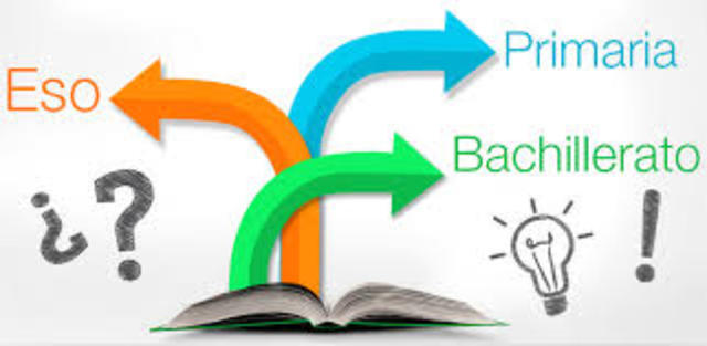 ORGANIZACIÓN DEL CURRÍCULO