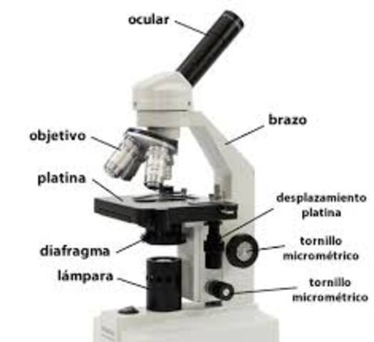 EL MICROSCOPIO