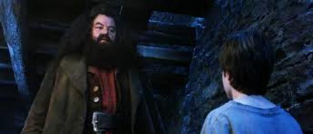 Hagrid picking up Harry