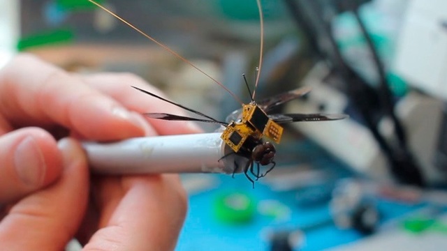 Libélula es el dron más pequeño del mundo