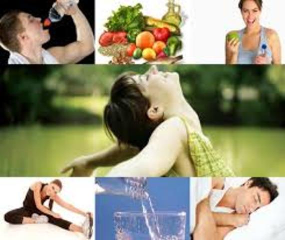 El bienestar  (Cuadra y Florenzano).