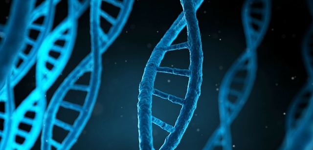 GENESIS DE LA BIOÉTICA