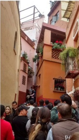 Fui a León, Guanajuato