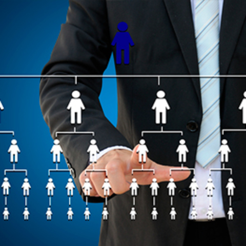 Modelo Contemporáneo ( 1960 - época actual)