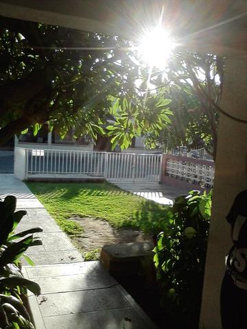 La casa de los hielitos