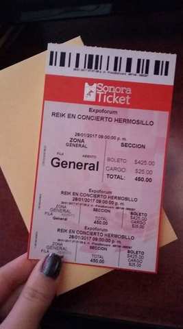 Fui al Concierto de Reik