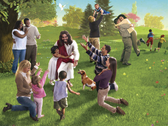 la calidad de vida es una armonia entre todos los factores