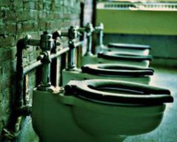 5. ¿Energía a partir de heces humanas?