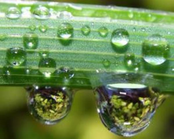 7. Energía evaporativa