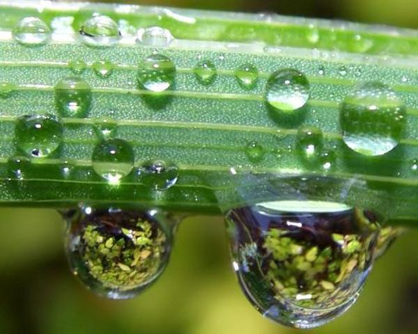 7. Energía evaporativa