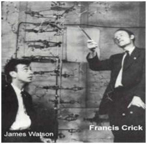 Watson y Francis Crick