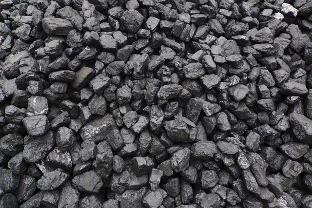 Coal discovered