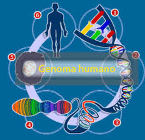 Genoma Humano