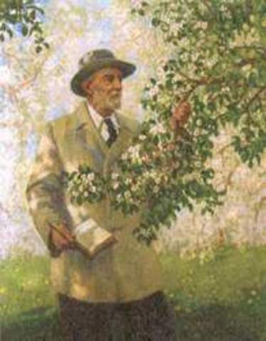 Quimerismo y plantas