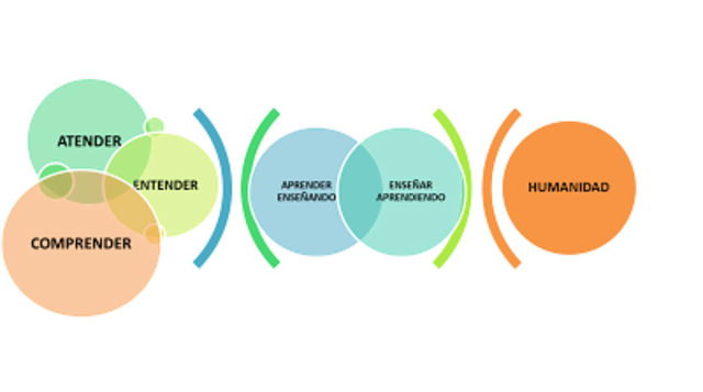 Pedagogía e Historia