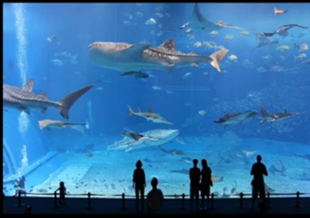 VÍDEO DE ALTA DEFINICIÓN