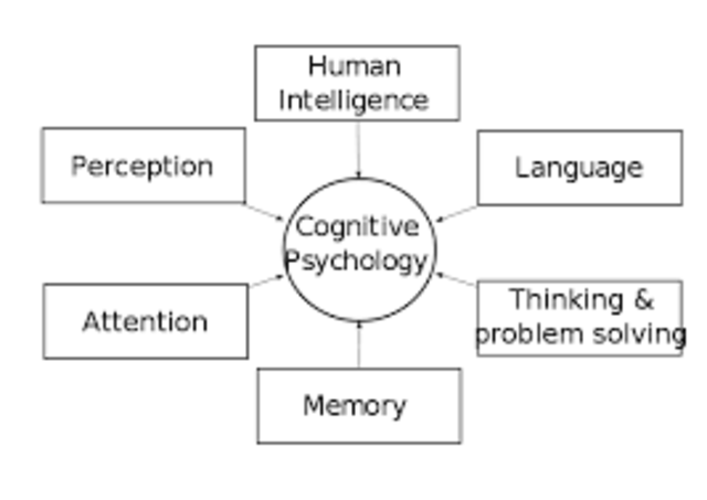 cognitive psychology gains popularity