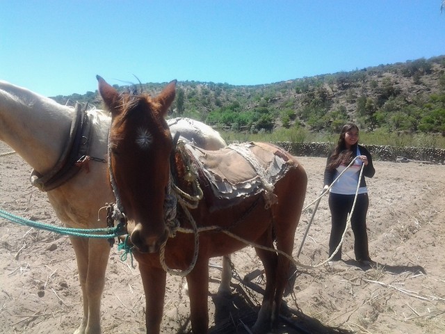 ¿En Durango dicen "fierro"?