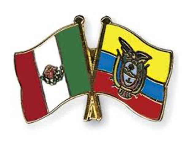 Iniciativa  para el derecho del Indígena