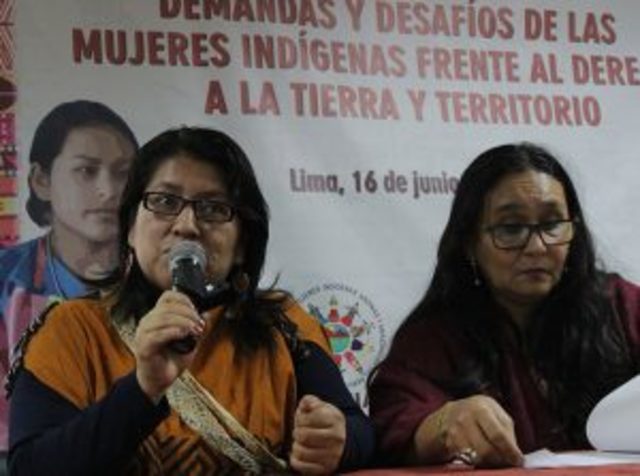 DEFENSOS DE LOS DERECHOS Y LAS ASPIRACIONES DE LOS PUEBLOS INDÍGENAS