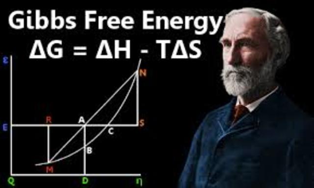 Profesor de Física Matemática