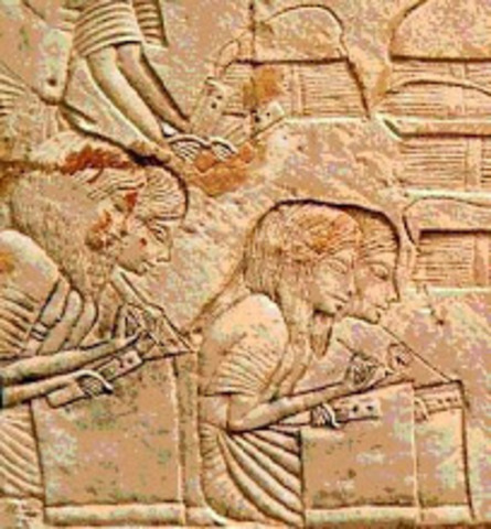 Actividad bibliotecaria en Egipto