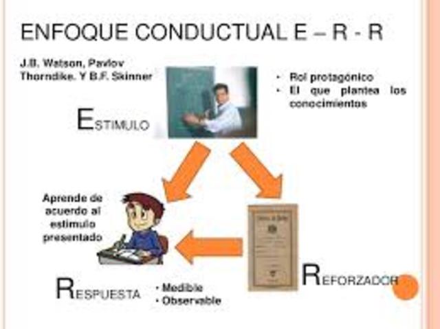 ESTIMULO Y RESPUESTA