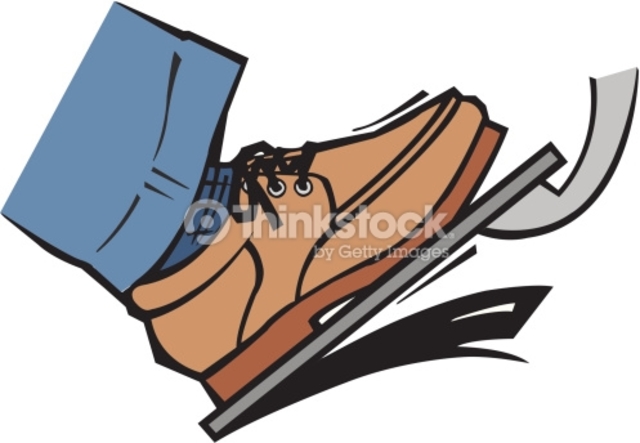 Somatosensory Cortex