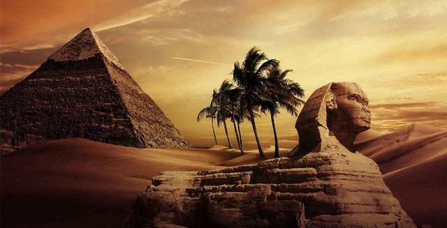 Profesión bibliotecaria