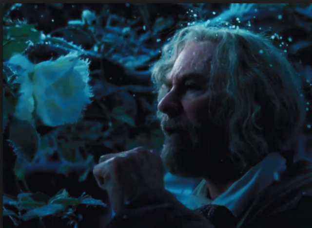 Maurice Finds The Beasts Castle