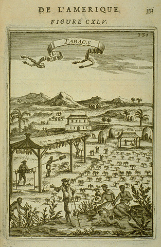 The effect of natural and migratory movements on the formation of the population.