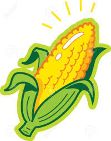 When I was a child I used to eat a lot of corn
