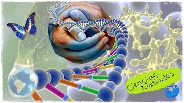 Desarrollo de la ciencia en el siglo XVII