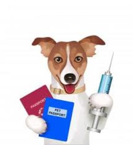 First successful use of the rabies vaccination-Pasteur