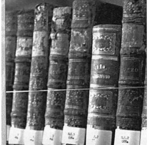 Bibliotecas Públicas