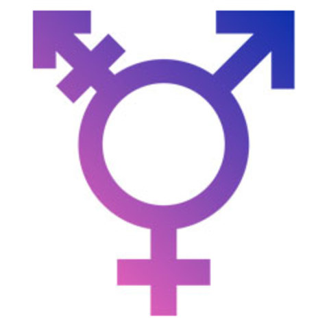 Adding Transgender