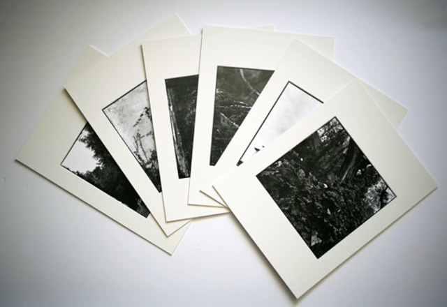 Se crea el papel sensible