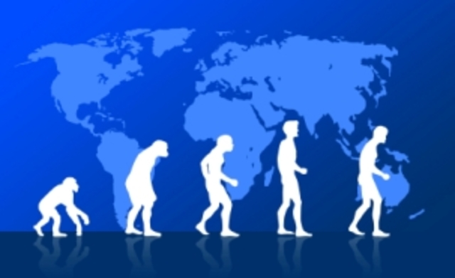 Evolución de la Teoría Administrativa