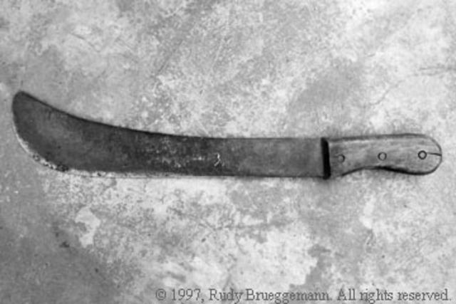 Start of the Rwandan Genocide