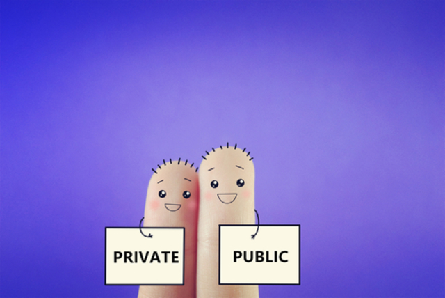 Public/private life