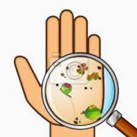 Germinal theory-Pasteur