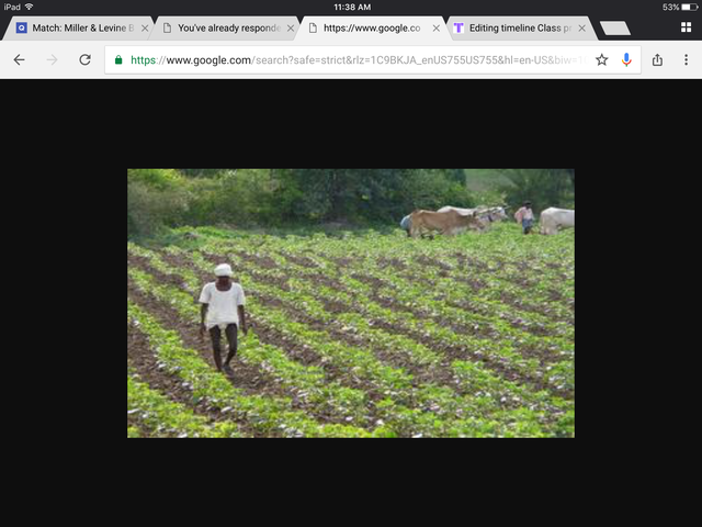 First farms start to set up