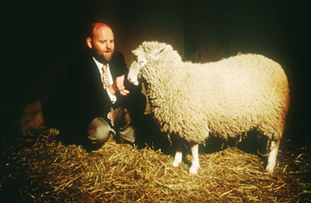 Clonación de la oveja Dolly.