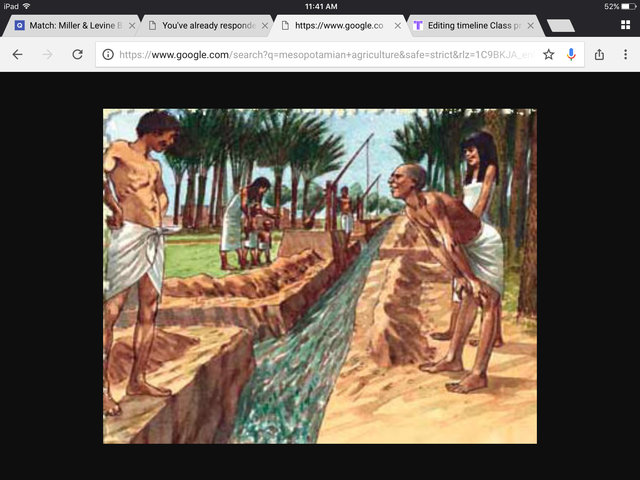 Agriculture begins in Mesopotamia