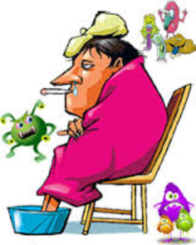 Koch at last came out of Wollstein's exile